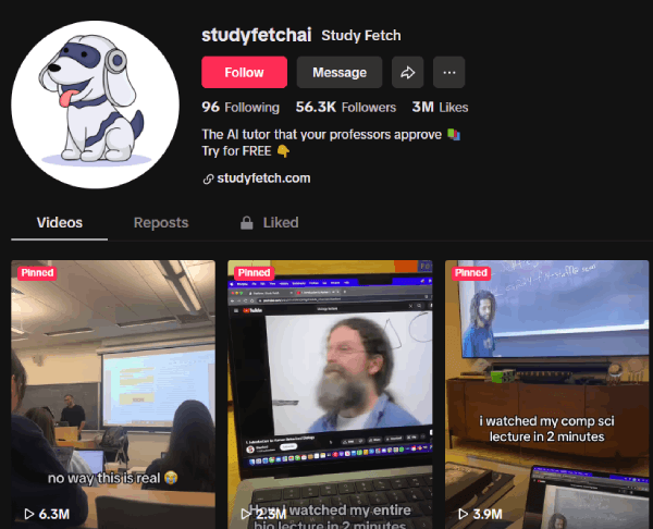 Tiktok Viral CaseStudy